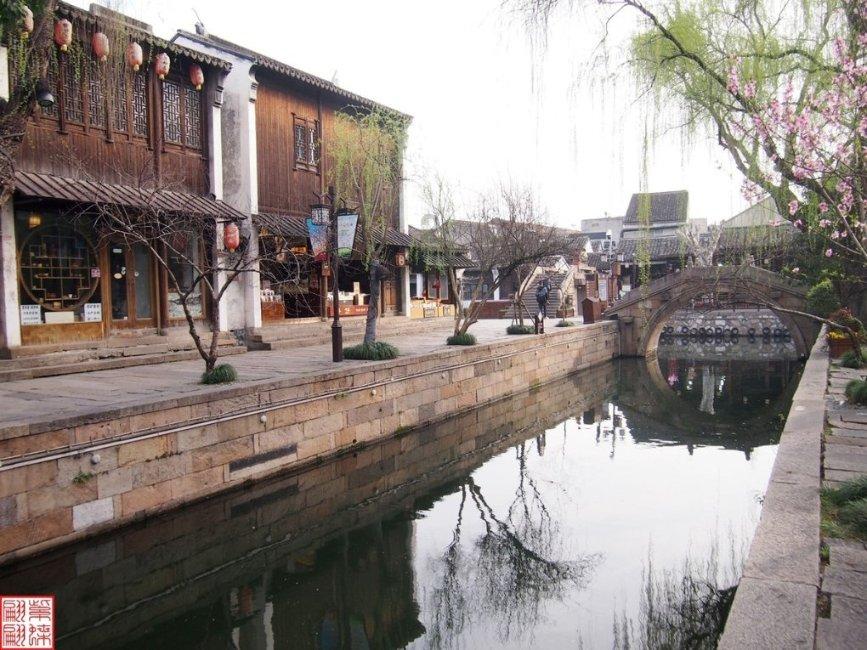 除虫大师